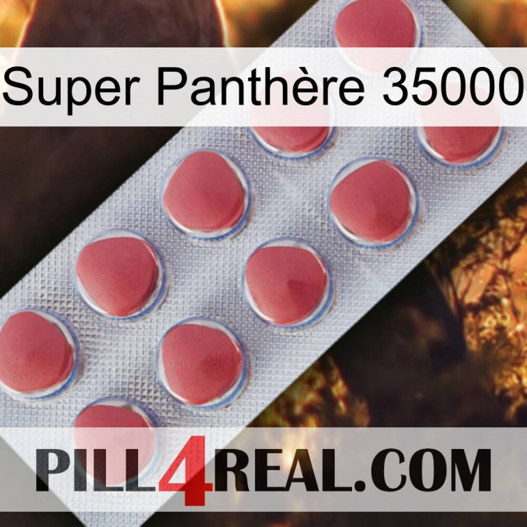 Super Panthère 35000 18